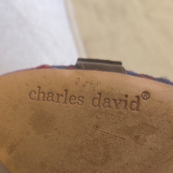 Charles David Red and Purple Heels Elegant Design - Picture 11 of 12